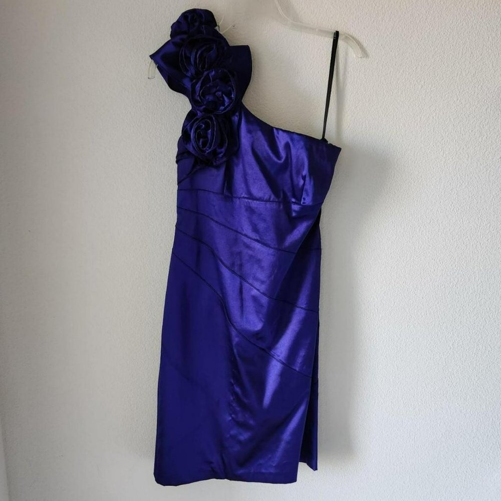 Betsy & Adam special occasion purple blue dress Rosettes Sz M whimsigoth fairy
